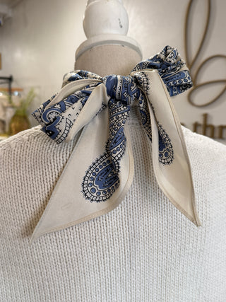 Paisley Satin Scarf