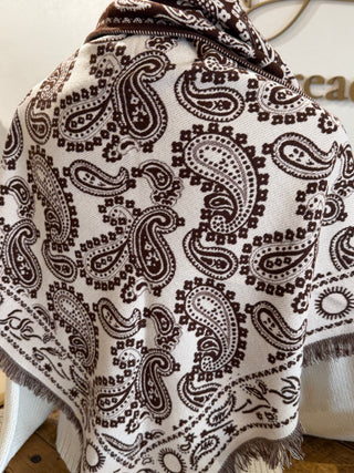 Paisley Shawl