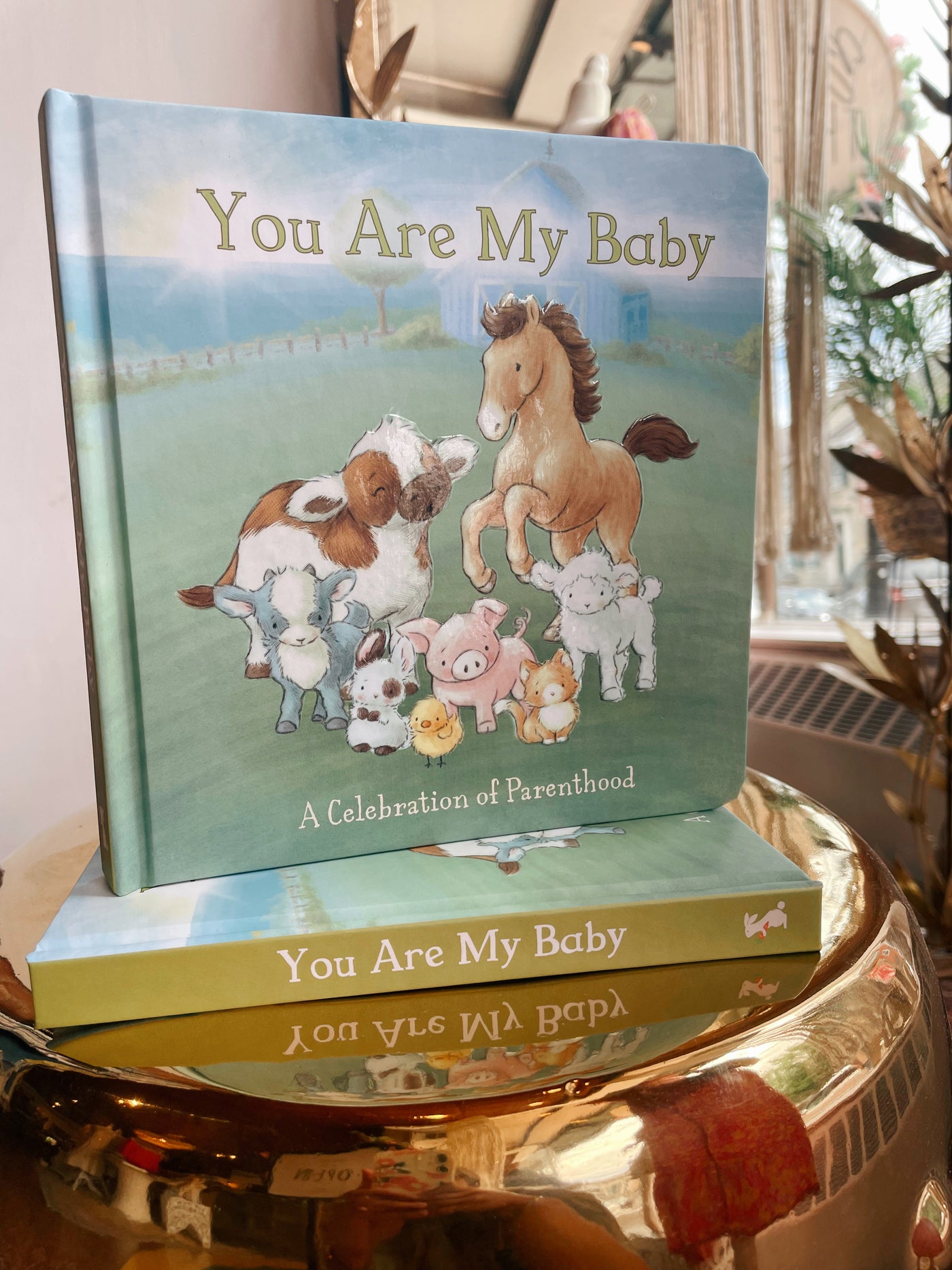 You Are My Baby Board Book